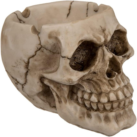 Out of the blue 78/5723 Polyresin Ashtray with Skull Design Approx. 12 cm